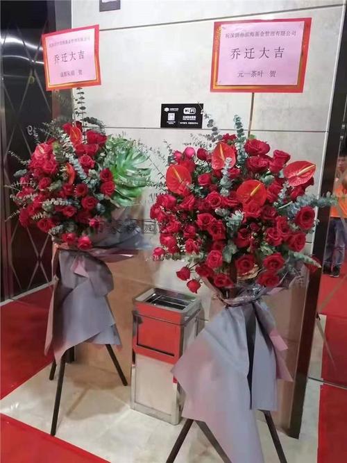 绿植租赁 办公室植物租摆公司 提供设计方案